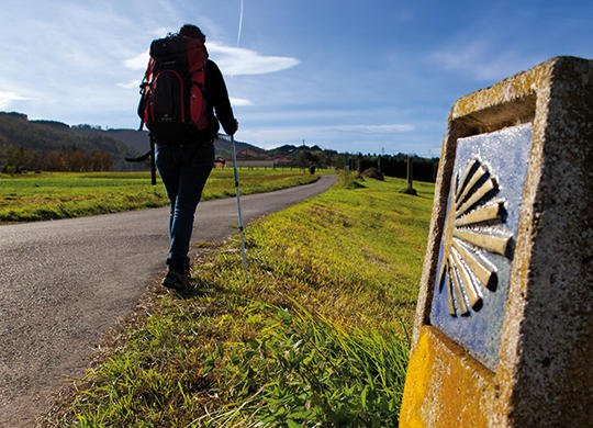 Peregrino caminando solo en el Camino Ingles de Santiago